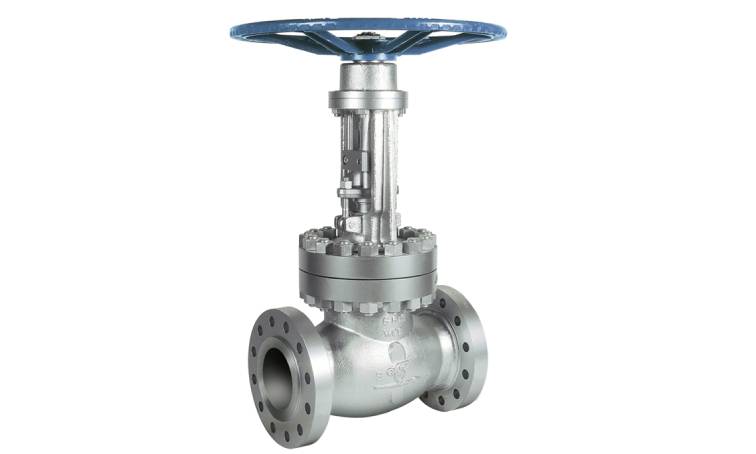 Gate Valve	
