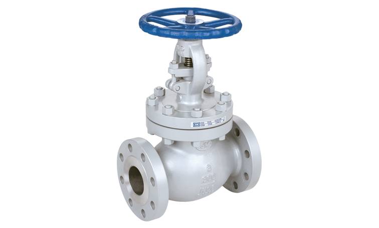 Globe Valve